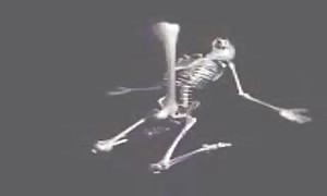humorous
 skeletons